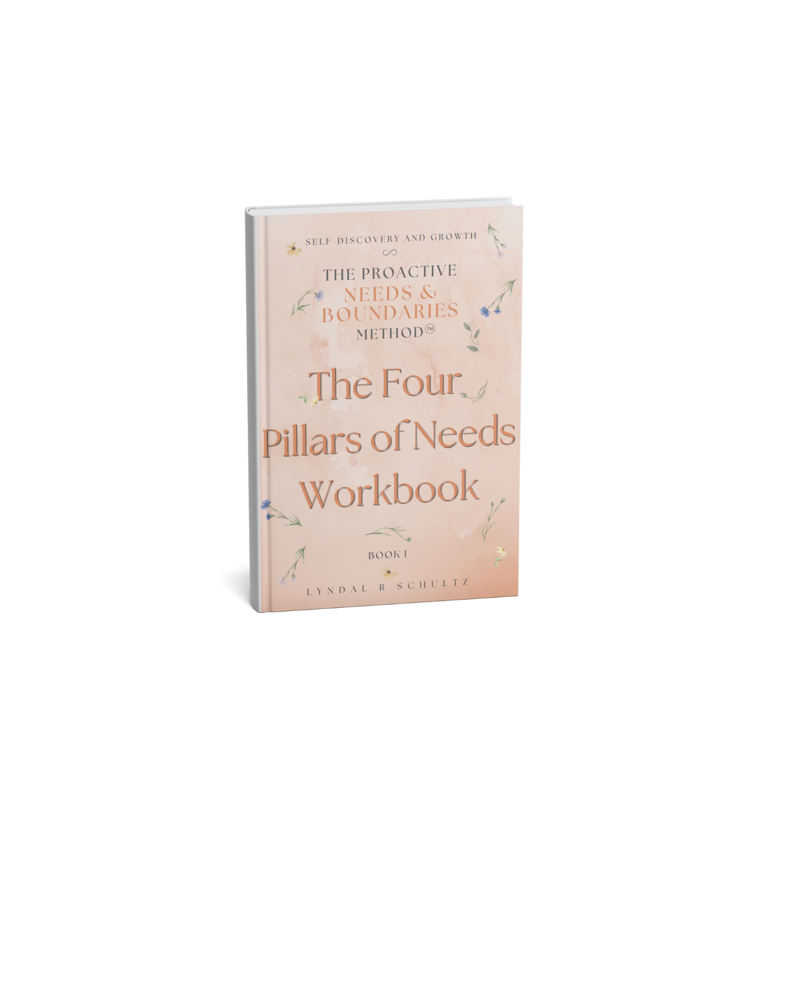 Workbook The Four Pillars of Needs Workbook